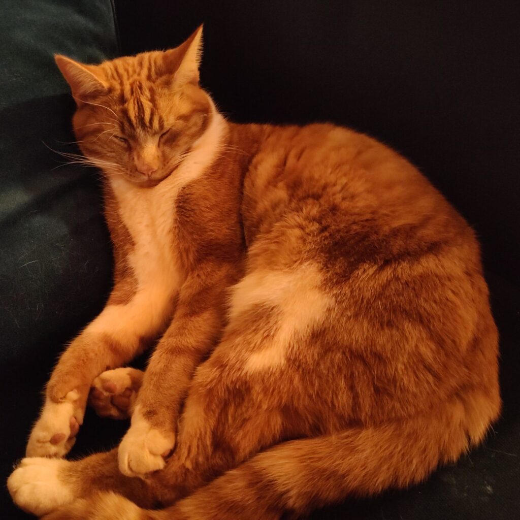 The current image has no alternative text. The file name is: cropped-IMG_20231227_175855-scaled-1.jpg