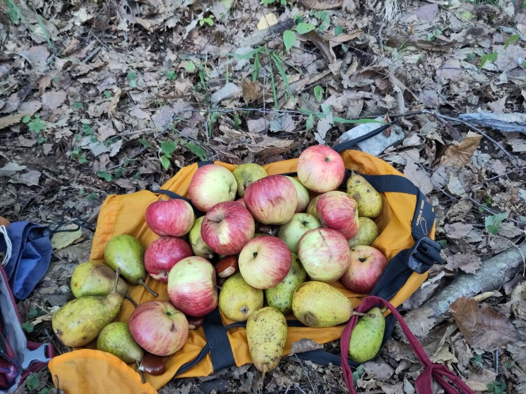 The current image has no alternative text. The file name is: IMG_20230926_173256-scaled.jpg